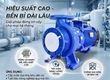 Máy bơm lưu lượng giá rẻ 