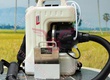 Máy phun thuốc dạng sương chạy pin Turbo ULV 10 giá rẻ 