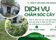 Bảo dưỡng cảnh quan nhà máy doanh nghiệp Thủ Đức 