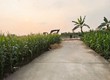 Chính chủ cần bán gấp lô hơn 93m2 tại Vĩnh Trai   Trung Chính   Bắc...
