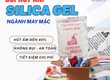 Đừng Để Nấm Mốc Làm Hỏng Lô Hàng May Mặc Của Bạn 