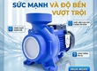 Máy bơm lưu lượng giá rẻ 