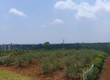 Bán đất Đà Lạt 