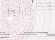 Bán nhà 2 tầng mặt đường Ngô Gia Tự, Khai Quang, Vĩnh Yên, Vĩnh Phúc 