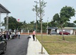 Bán đất tại Xã Cổ Đông, 2,8 tỷ, 100m2, vị trí đẹp, tiềm năng phát triển 