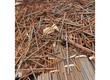 Giá phế liệu hôm nay 
