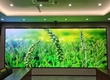 Màn Hình LED   Giải Pháp Hiển Thị Thế Hệ Mới Cho Doanh Nghiệp 