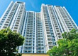Cho thuê căn hộ Aurora 277 Bến Bình Đông Q.8   50m2 1pn 1wc 
