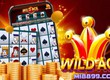 Wild Ace: Crown the Joker, Stack the Kingdom 