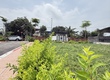 100m Trục chính Trại Hồ, 400m ra trường Lục Quân, 30tr/m 