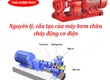 Nguyên lý và cấu tạo của máy bơm chữa cháy động cơ điện 