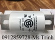 Cầu chì bussmann FWP 200A 