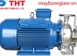 Phân loại dòng bơm đầu Inox Maro 
