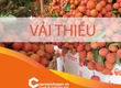 Thủ tục xuất khẩu vải thiều 
