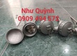 Dò nhiệt củ hành phi 6 100 