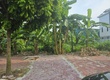 Cần bán lô đất thuộc khu đô thị phía Tây cầu Phú Lương, phường Nhị Châu, Hải Dương....