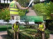Giải Pháp Chăm Sóc Cây Xanh   Vệ Sinh Cảnh Quan KCN Amata Biên Hòa Đồng Nai...