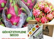 Gói hút khí ethylene Secco   Bí quyết bảo quản thanh long tươi, giữ tai xanh 