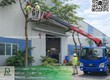 Dịch vụ cưa cây   Cắt cỏ kcn tam phước Đồng Nai 