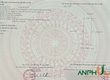 Cần bán lô đất đẹp tại Phường Thủy Nguyên  xã Hoa Động , TP Hải Phòng 