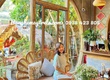 Ghế sofa mây cánh hoa 