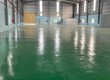 Kho xưởng dưới Đình Vũ 2500m2, PCCC tự động, làm được FDI, khuôn viên rộng 3ha 