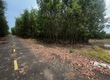 10.598m2 đất Láng Dài   xã Đất Đỏ   TP HCM, mặt tiền đường nhựa dài...