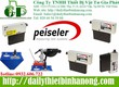 Cảm biến xung Peiseler 