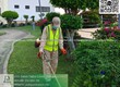 Dịch vụ Cắt cỏ Vệ sinh cảnh quan Đồng Nai 