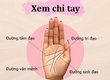 Cách xem chỉ tay sinh đạo đoán được vận mệnh và sức khỏe 