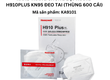 Khẩu Trang Chống Bụi Trắng H910Plus KN95 Đeo Tai  Thùng 600 Cái    Giải Pháp...