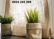 Vải bố trang trí decor trần nhà 