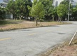 Cần chuyển nhượng lô đất diện tích 250m  tại Nhị Châu, Hải Dương. 