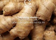 G.Organic   Khi bữa ăn là vị thuốc lành cho cơ thể đang cần phục hồi 