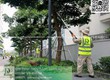 Bảo dưỡng cảnh quan KCN Biên Hòa 1, Biên Hòa 2 Đồng Nai 