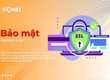 Những Dấu Hiệu Cho Thấy Website Của Bạn Đang Bị Tấn Công 