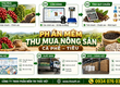 Phần mềm thu mua cà phê   tiêu 