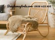 Ghế mây tự nhiên đọc sách phòng ngủ 