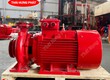 Máy bơm chữa cháy điện Stella trục liền là gì  Tìm hiểu ngay 
