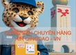 Giá Cước Vận Chuyển Hàng Air Từ Thanh Đảo Về Việt Nam 