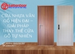 Cửa Nhựa Vân Gỗ Hiện Đại Giải Pháp Thay Thế Cửa Gỗ Tự Nhiên 
