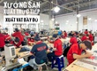 mới mở shop và đang tìm nguồn hàng ổn định  gọi 0822.879.469  Hảo 