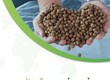 Thủ tục nhập khẩu thức ăn thủy sản 