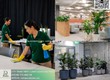 Chăm sóc cây xanh văn phòng Vệ sinh Văn phòng Đồng Nai 