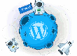 Dịch vụ quản trị website định kỳ: Cập nhật và tối ưu liên tục 