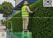 Chăm sóc cây xanh, cắt cỏ   vệ sinh cảnh quan Tam Phước Đồng Nai 