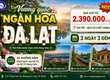 Đà Lạt   Vương Quốc Ngàn Hoa 3N3Đ SGC 