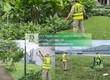 Dịch vụ cắt cỏ   cắt tỉa và chăm sóc cây xanh định kỳ Long Bình, Đồng...