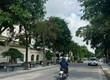 Bán đất biệt thự khu Trường An, mặt đường Trần Nguyên Đán, TP HD, 250m2, mt 12.5m 