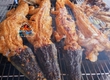 Bí quyết chọn thịt cá sấu mềm để nướng BBQ 